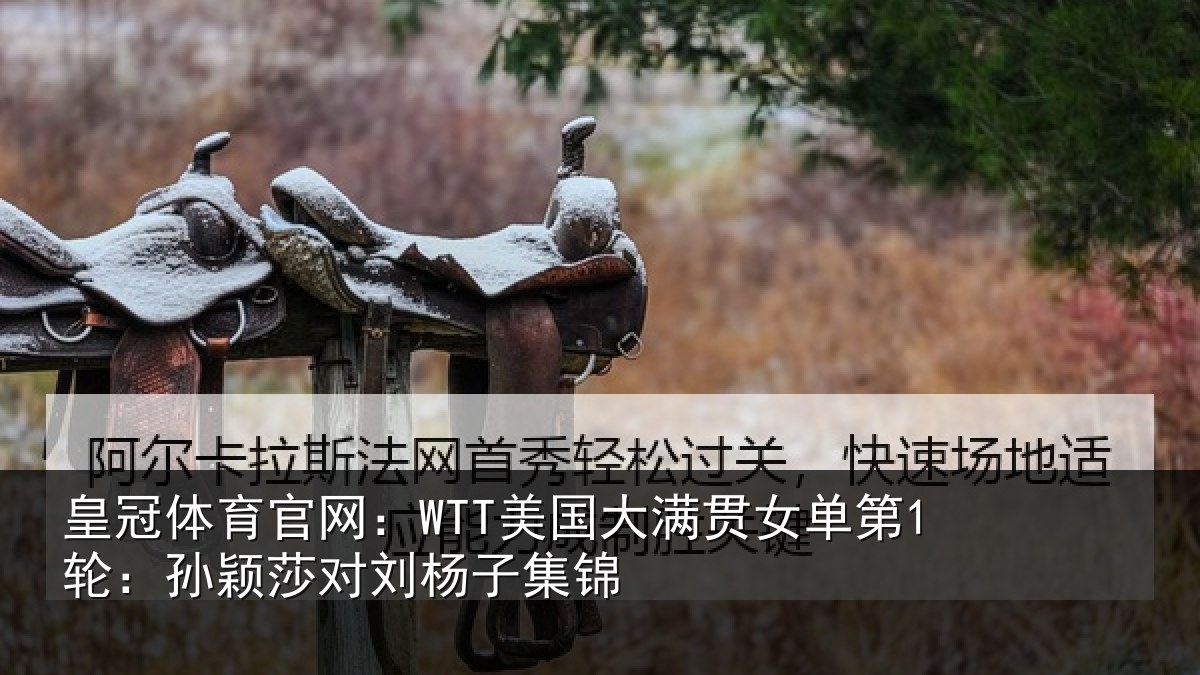 皇冠体育官网：WTT美国相关情况颖莎对刘杨子集锦