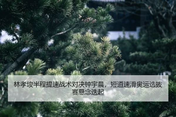 lin-xiao-jun-ban-cheng-ti-su-zhan-shu-dui-jue-zhong-yu-chen-duan-dao-su-hua-ao-yun-xuan-ba-sai-xuan-nian-die-qi-2-559.jpg