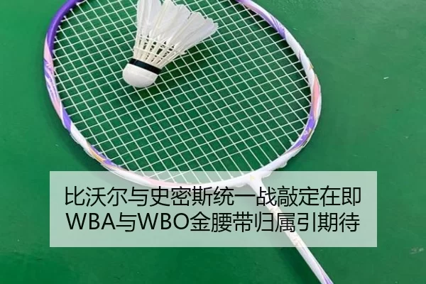 比沃尔与史密斯统一战敲定在即 WBA与WBO金腰带归属引期待