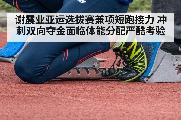 谢震业亚运选拔赛兼项短跑接力 冲刺双向夺金面临体能分配严酷考验