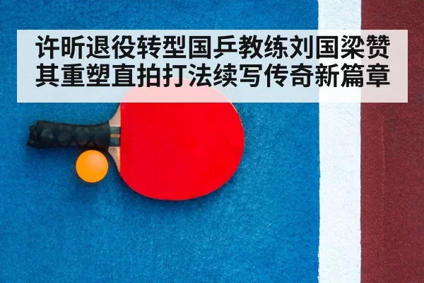 table tennis racket close up