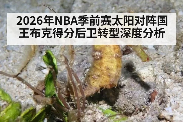 2026年NBA季前赛太阳对阵国王布克得分后卫转型深度分析